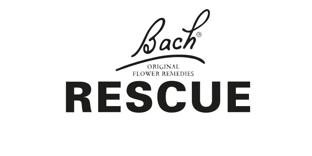 Bach Brand