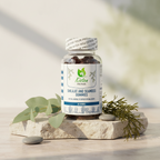 Kisten Herbals Shilajit and Seamoss Gummies 60