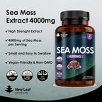 A bottle of New Leaf Sea Moss 4000mg with 120 tablets. The label shows the product name, strength, and an image of sea moss.
