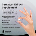 A bottle of New Leaf Sea Moss 4000mg with 120 tablets. The label shows the product name, strength, and an image of sea moss.