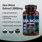 A bottle of New Leaf Sea Moss 4000mg containing 365 tablets, with a label showing the product name and an image of sea moss.